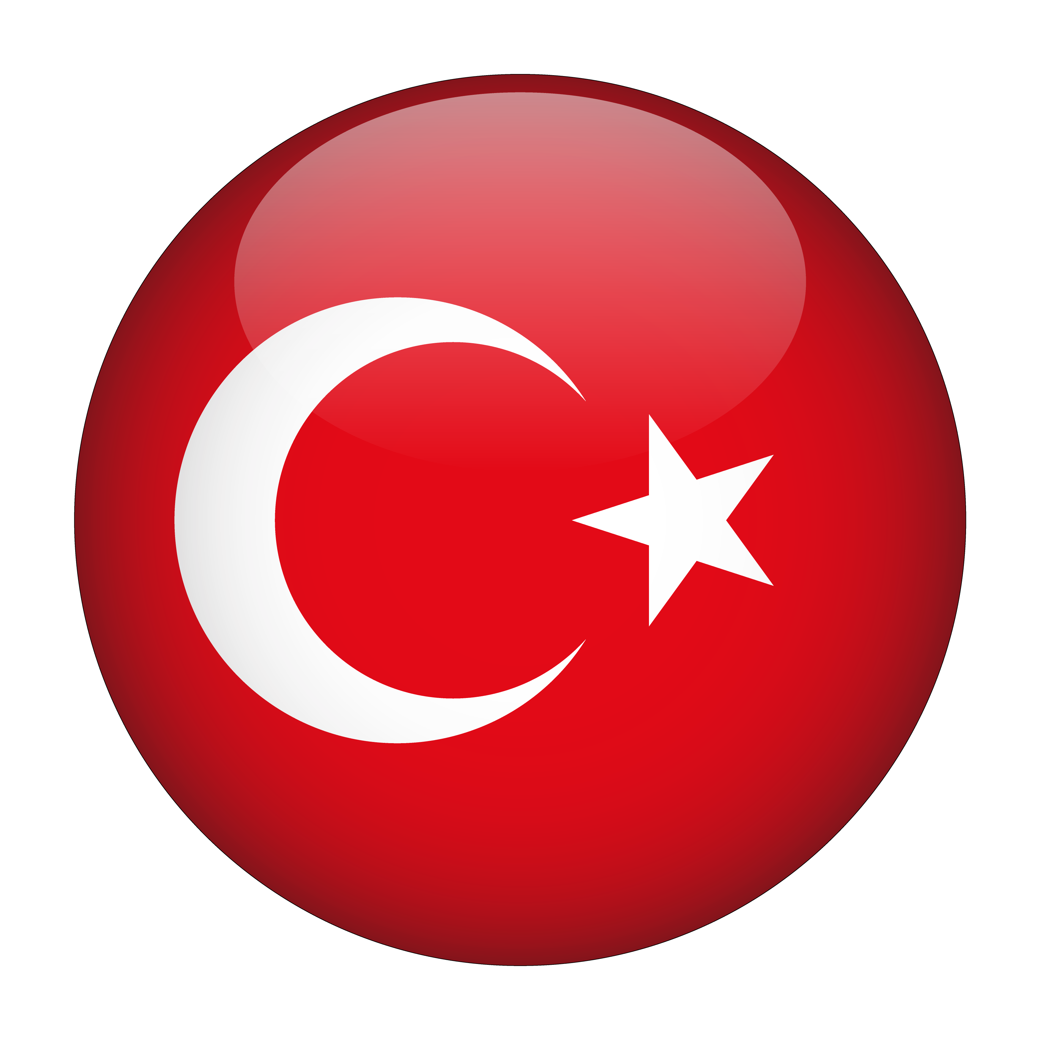 Türkçe